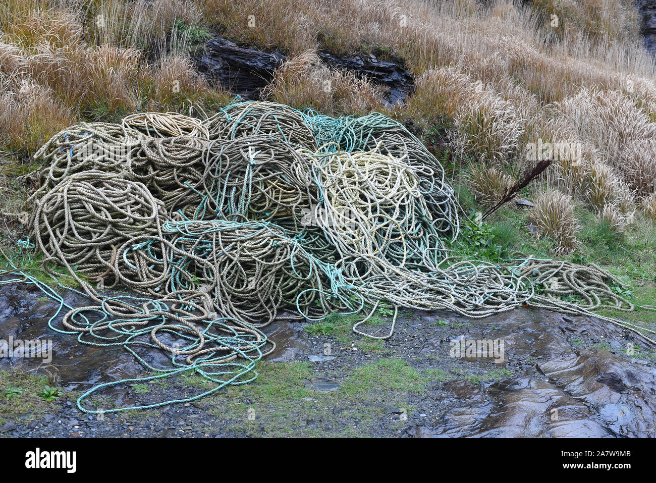 Pile of fishermen’s ropes coiled on the harbour with wet rocks and grasses in the background on a rainy day. Stock Photo