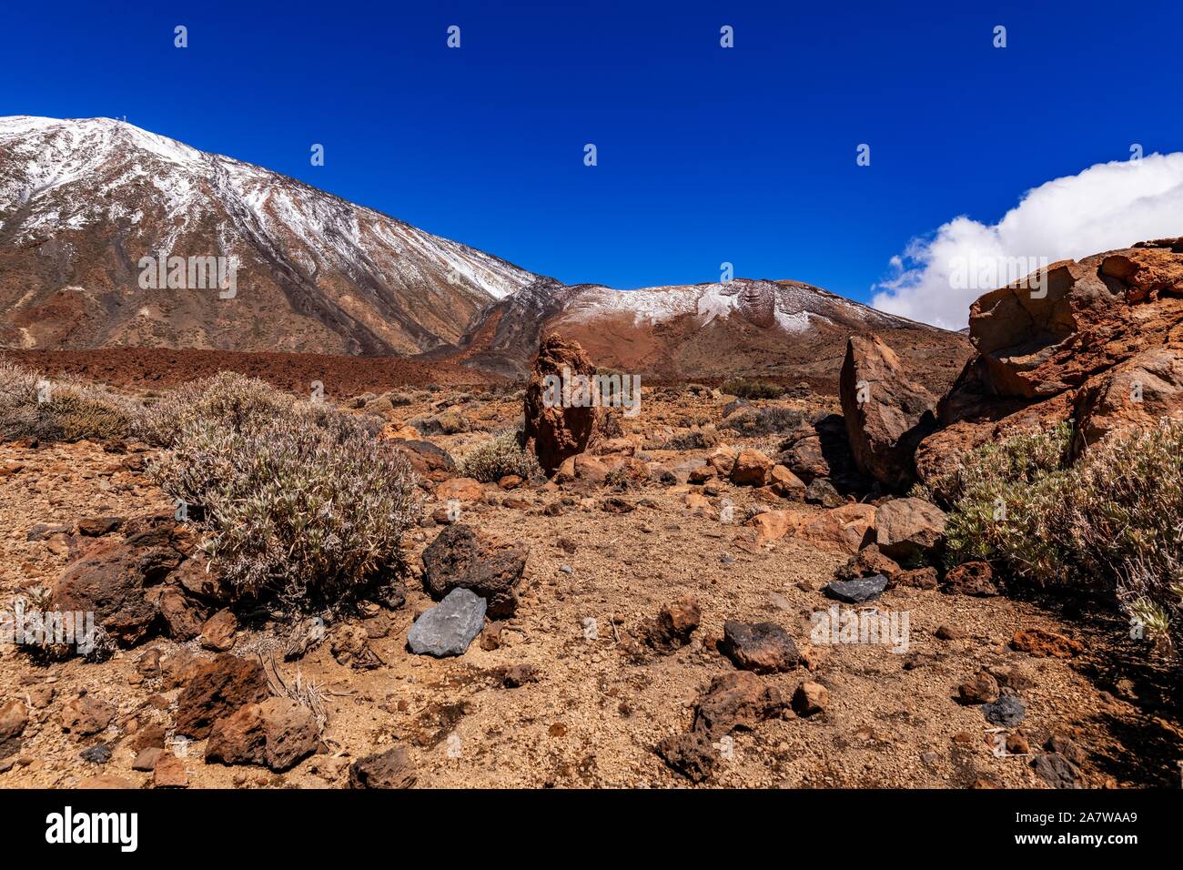 Teide National Park is the biggest park on the Canary Islands. Stock Photo