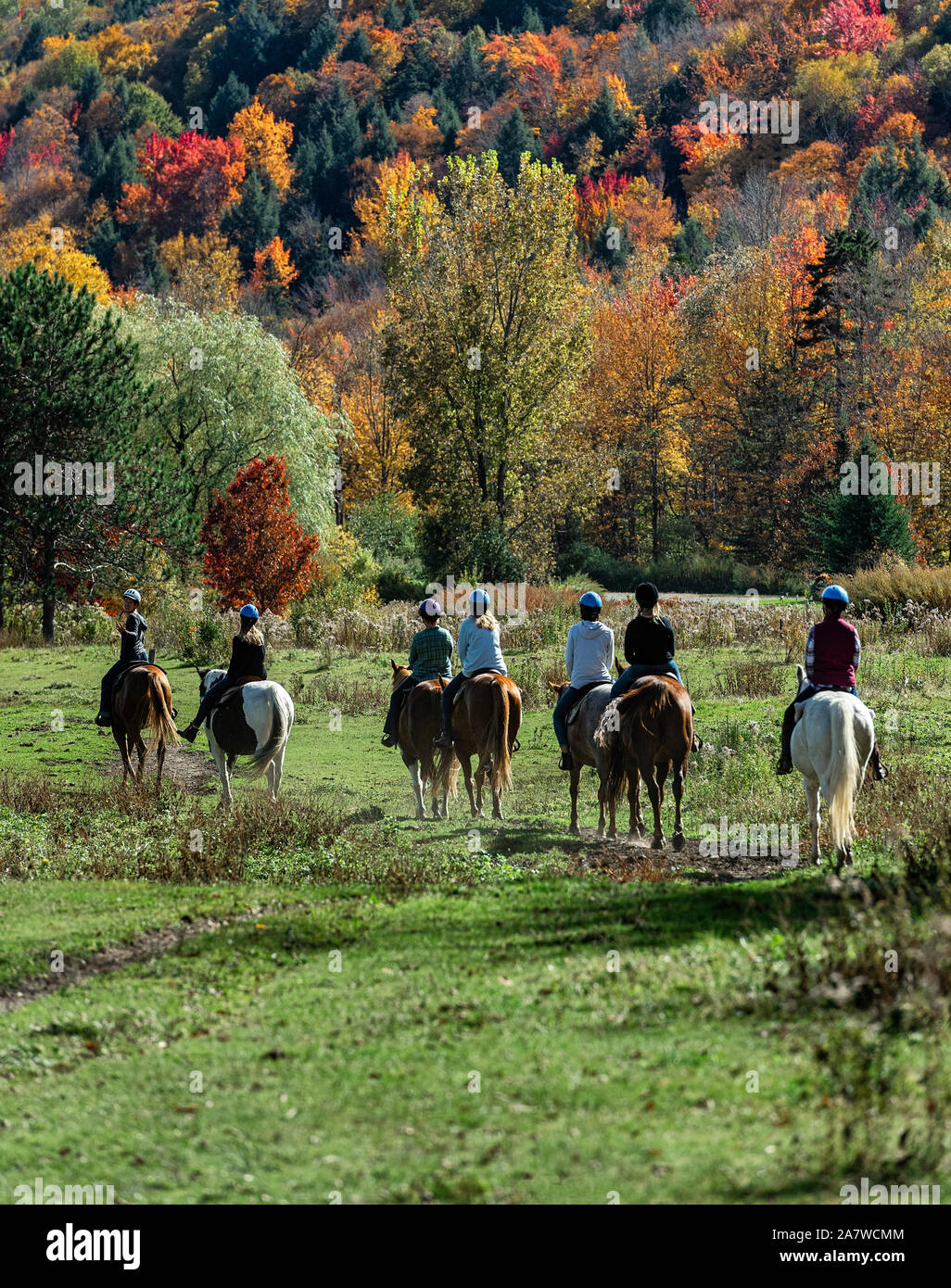 Group on horseback riding excursion, Stowe, Vermont, USA. Stock Photo