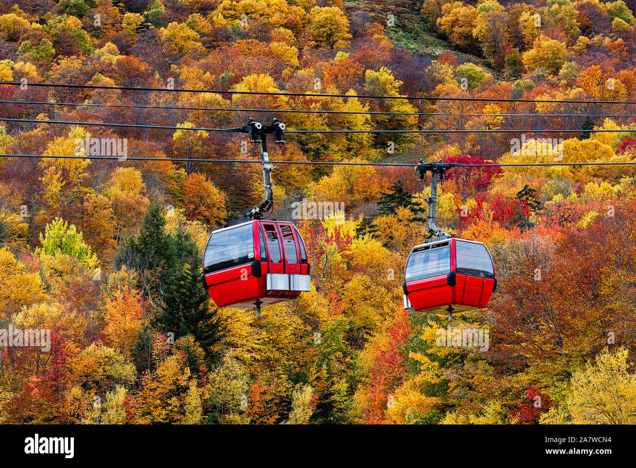 Autumn gondola sightseeing excursion at Stowe Mountain, Vermont, USA. Stock Photo