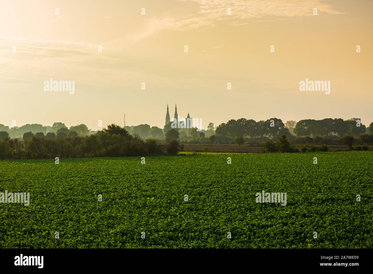 Land van Cuijk, agricultural landscape at the small village Cuijk and ...