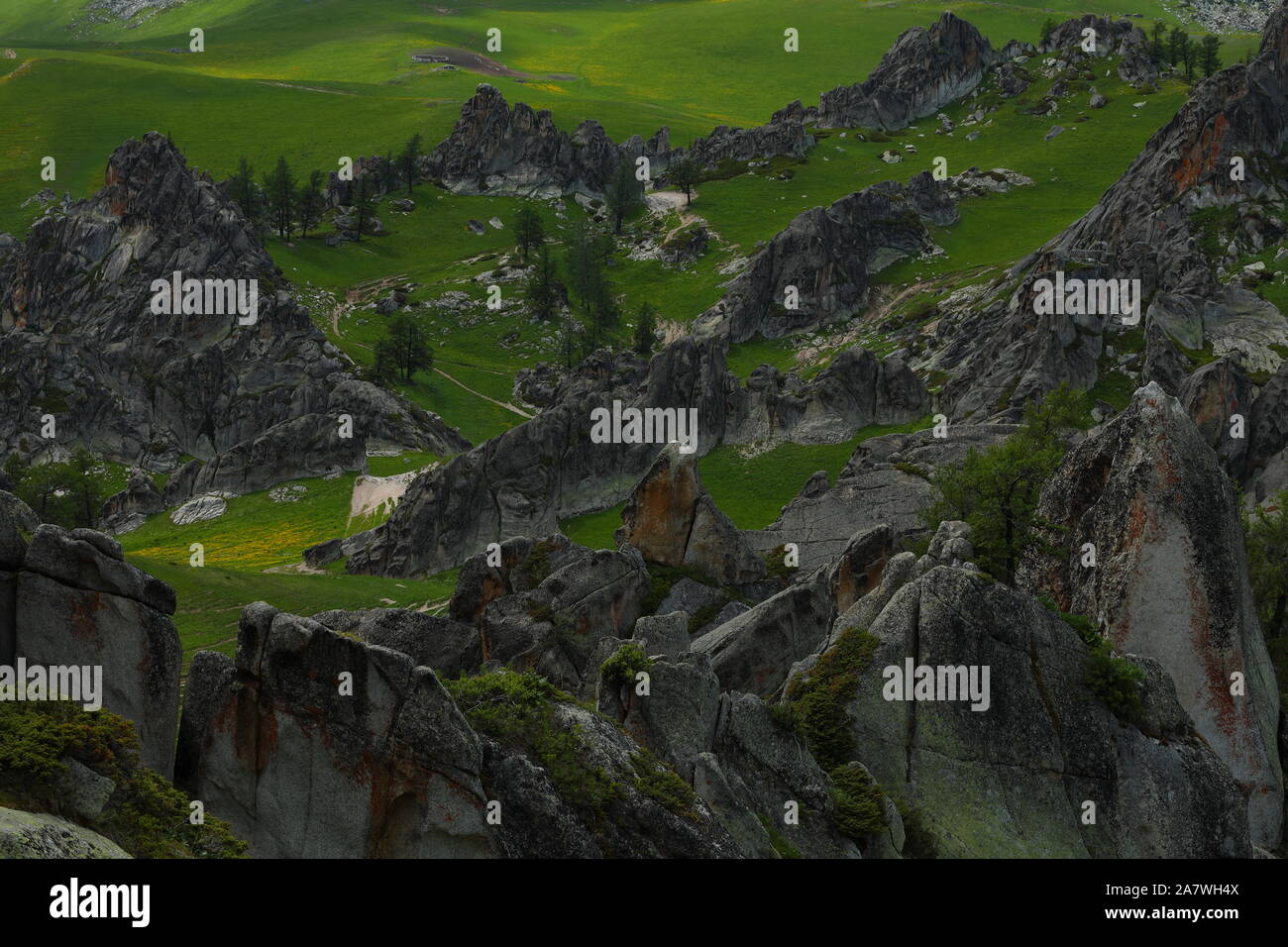 View Of A New Granite Stone Forest Of 10 Square Kilometers Which Is Rare In The Stone Type And Location Found In Altai Mountains 2000 Meters Above Stock Photo Alamy