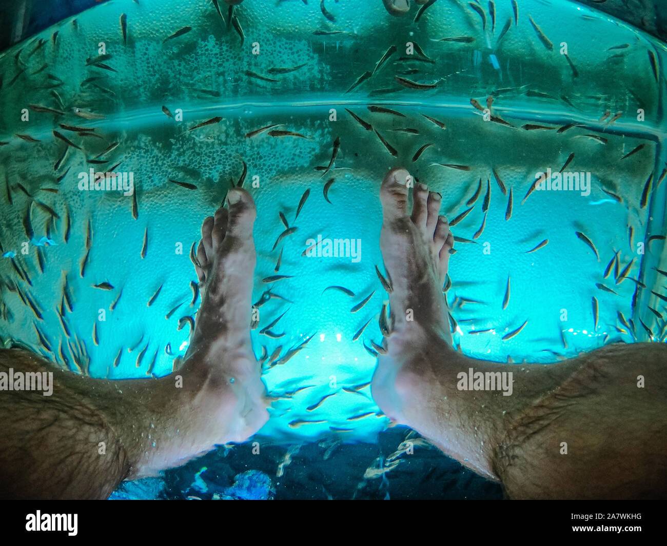Fish foot massage in blue aquarium in Thailand Stock Photo Alamy