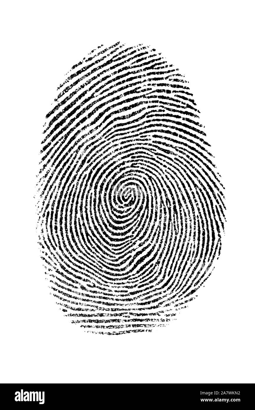 Fingerprint isolated on white background Stock Photo - Alamy