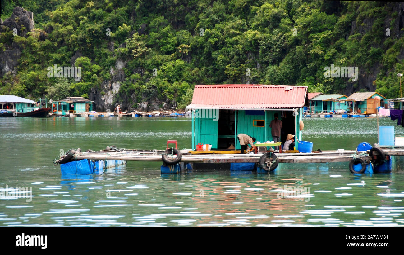 Floating house at a floating Village at famous Halong Bay in the