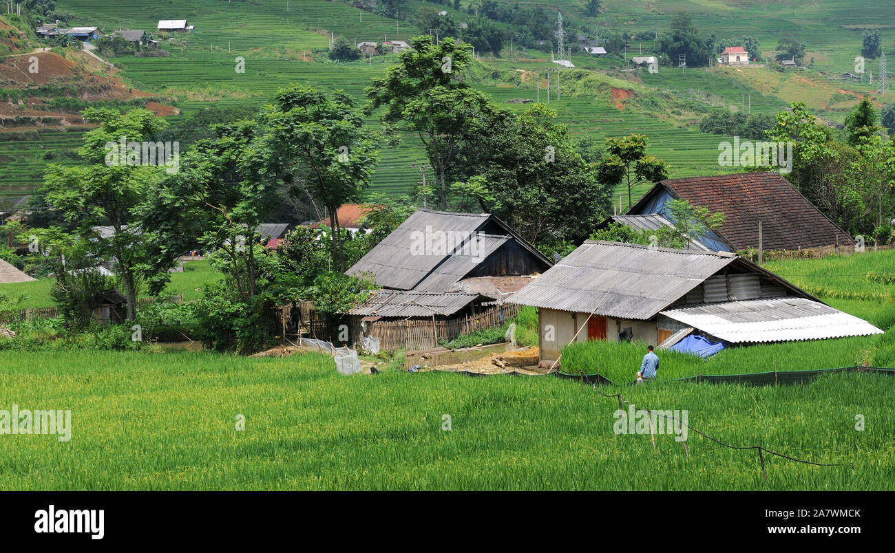 Traditional vietnamese house at a  village near Sape area in Vietnam, Asia Stock Photo