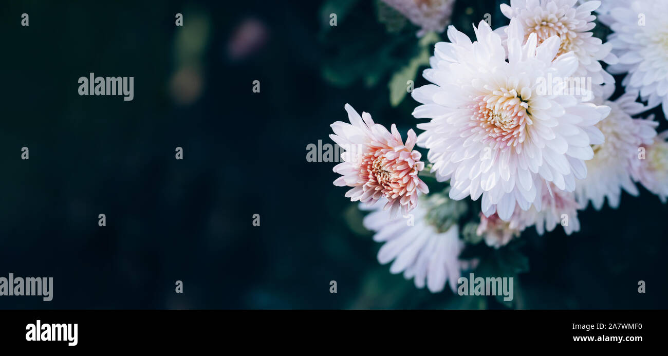 Banner Text Stock Photos Banner Text Stock Images Page 2 Alamy