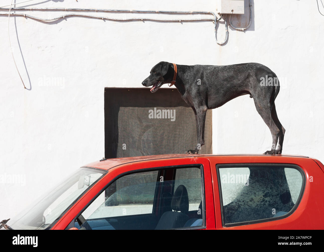 Car roof hires stock photography and images Alamy