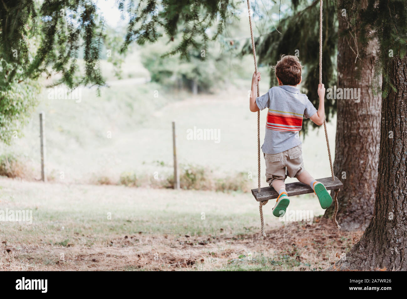 Rear view of boy kneeling on swing under pine trees Stock Photo