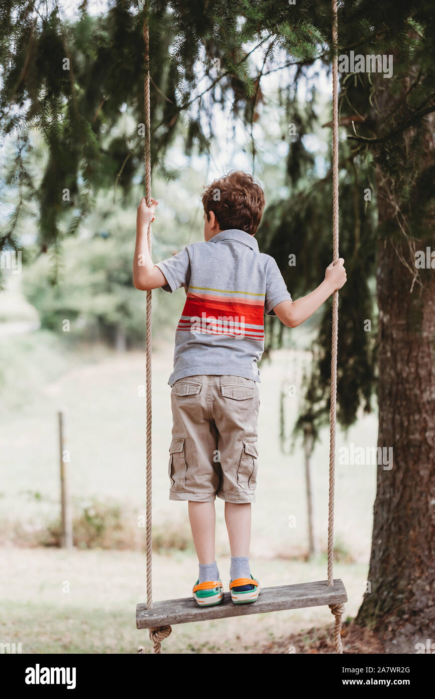 Rear view of boy standing on swing under pine trees Stock Photo