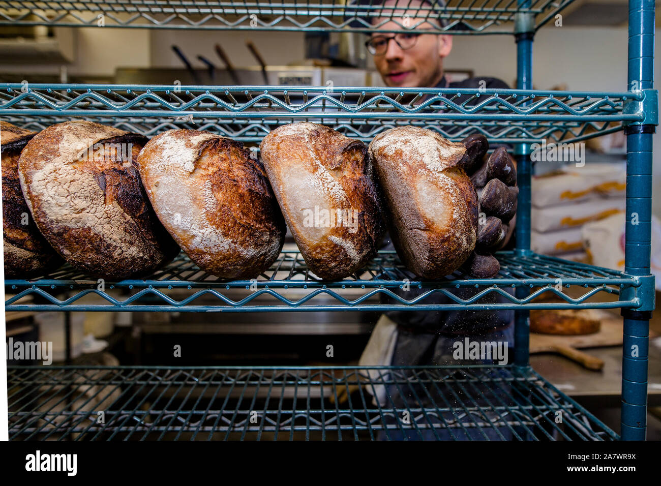 A professional baker places loaves of bread on wire shelf. Stock Photo