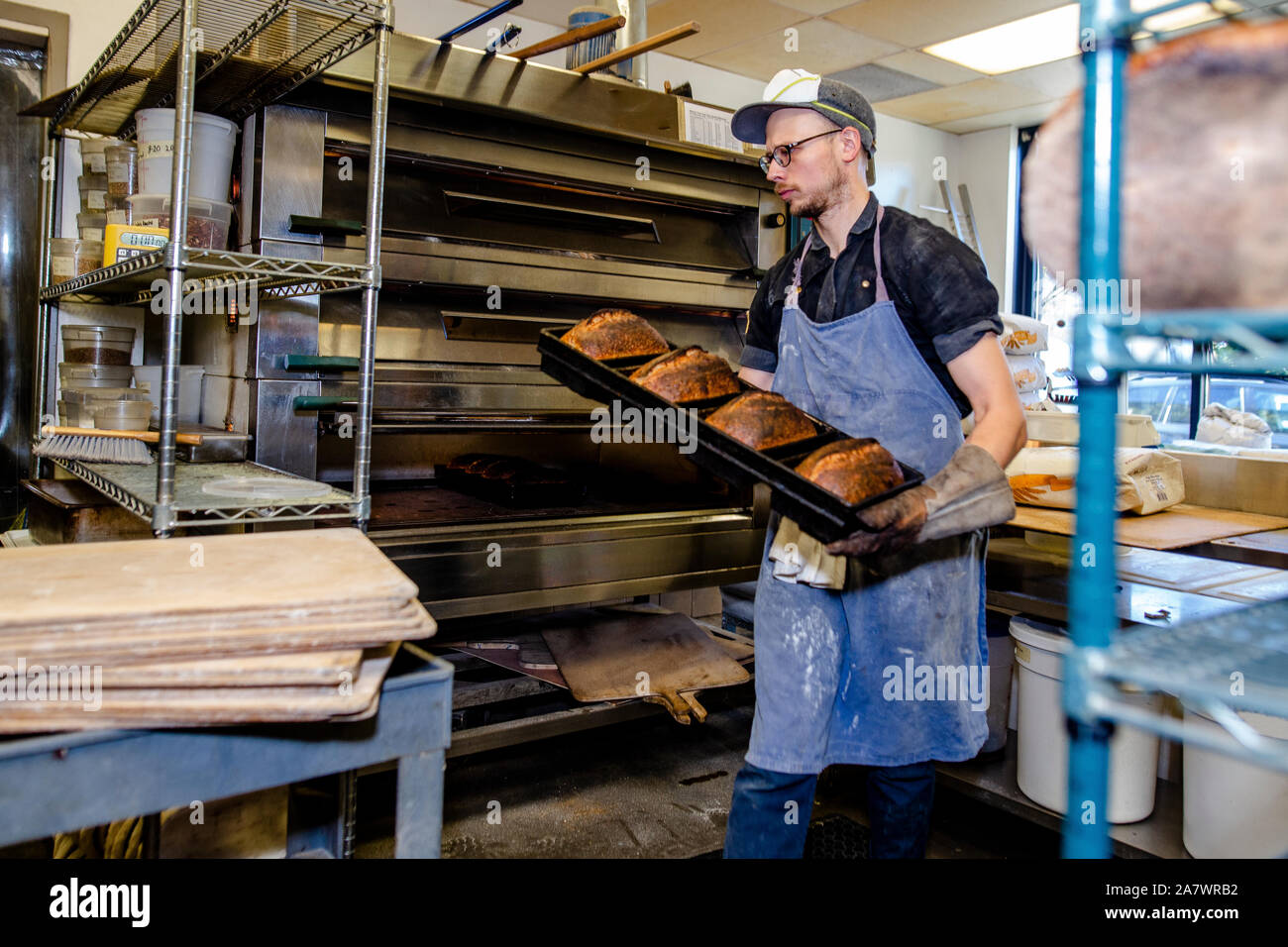 A professional baker carries tray of freshly baked bread from an oven Stock Photo