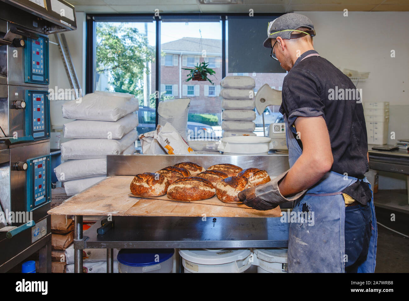 A professional baker sets tray of breads on counter in retail kitchen Stock Photo