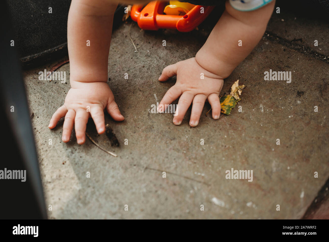 Cute baby hands exploring in the garden Stock Photo