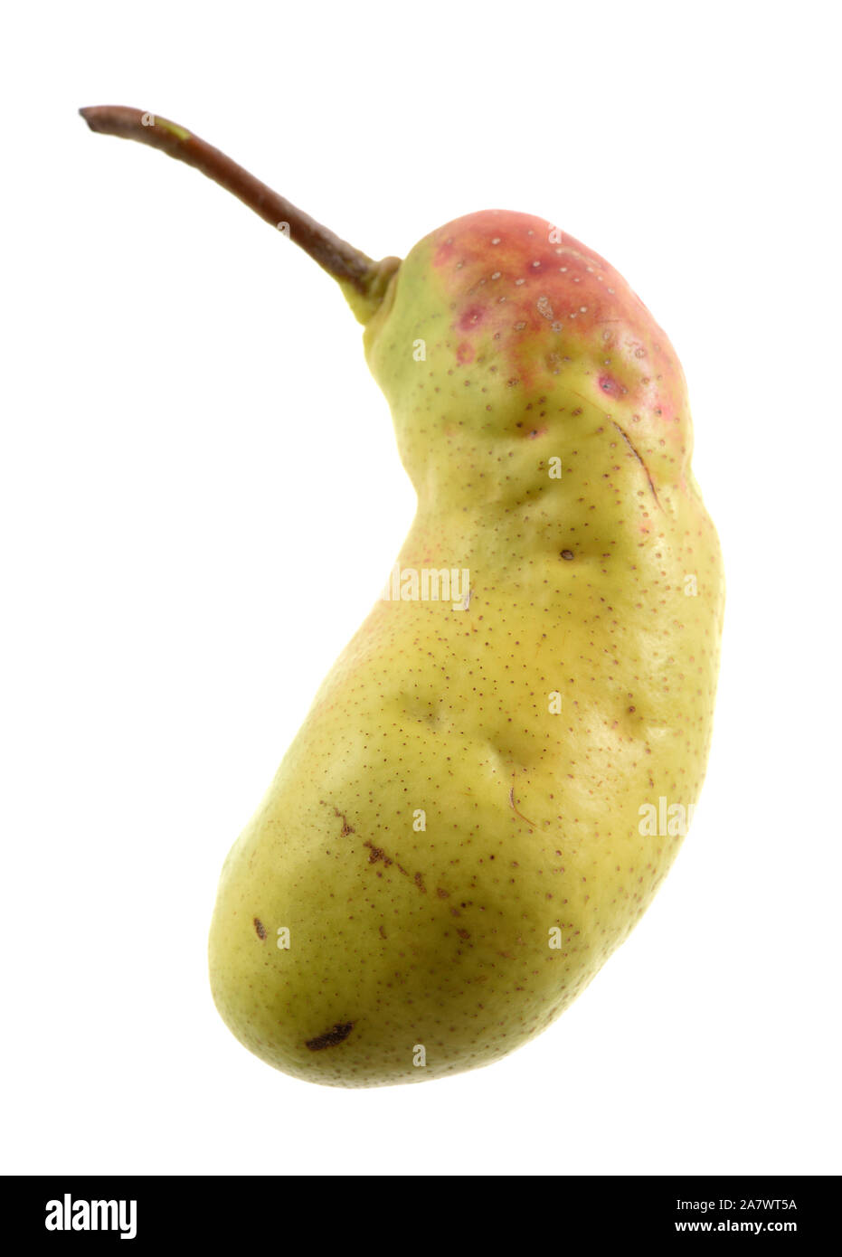 Ugly food concept. Disformed organic green pear isolated on white background closeup Stock Photo