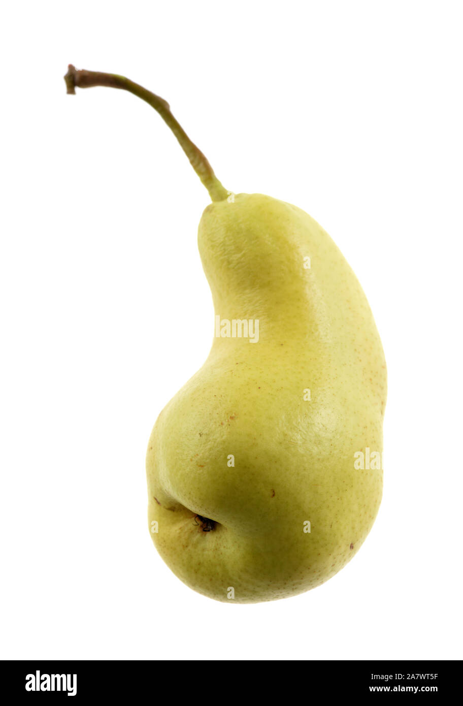 Ugly food concept. Unusual shaped organic sweet pear isolated on white background closeup Stock Photo