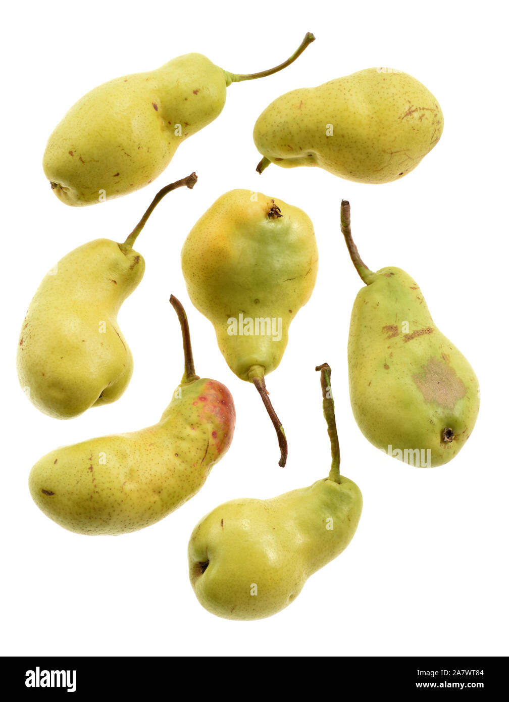 Three Ripe Yellow Skinned Pears Slightly Imperfect Fresh Organic