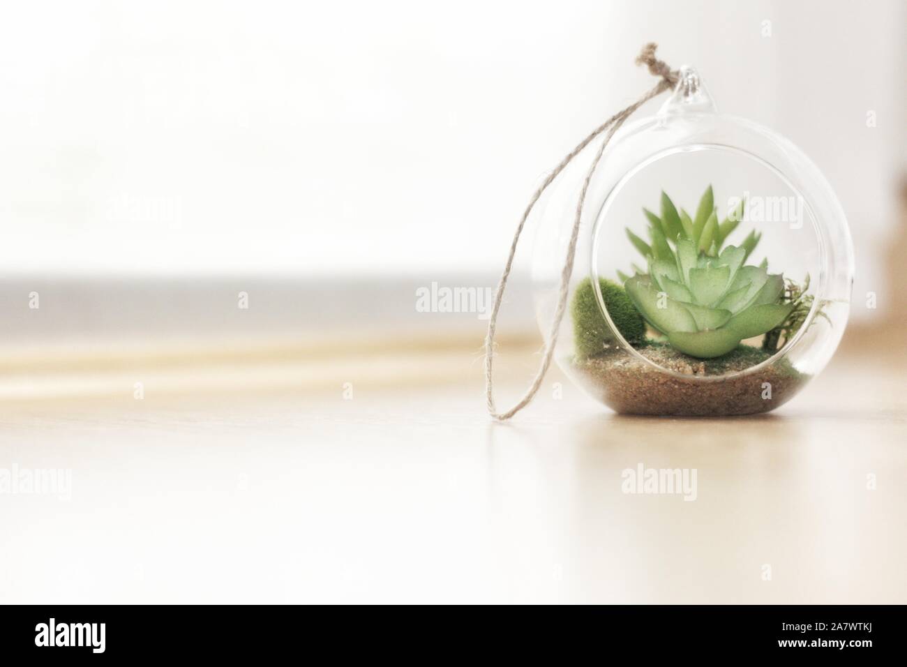 round shaped glass bowl with green flowers inside Stock Photo
