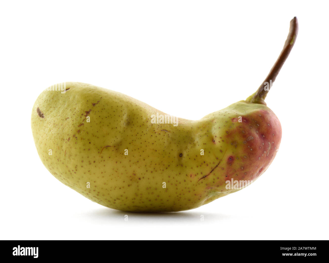 Ugly fruits concept. Malformed organic ripe pear isolated on white background closeup Stock Photo
