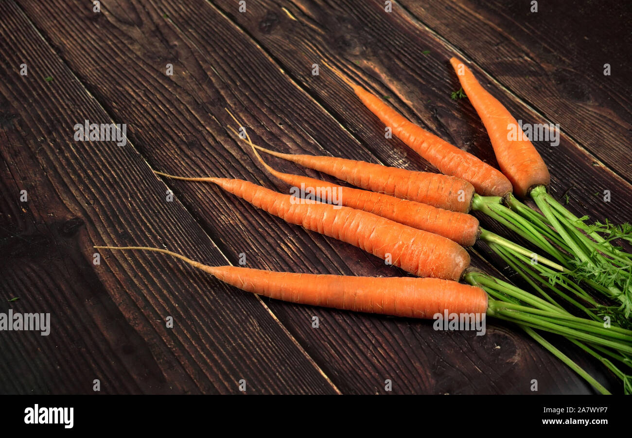 Carrot leaves hi-res stock photography and images - Alamy