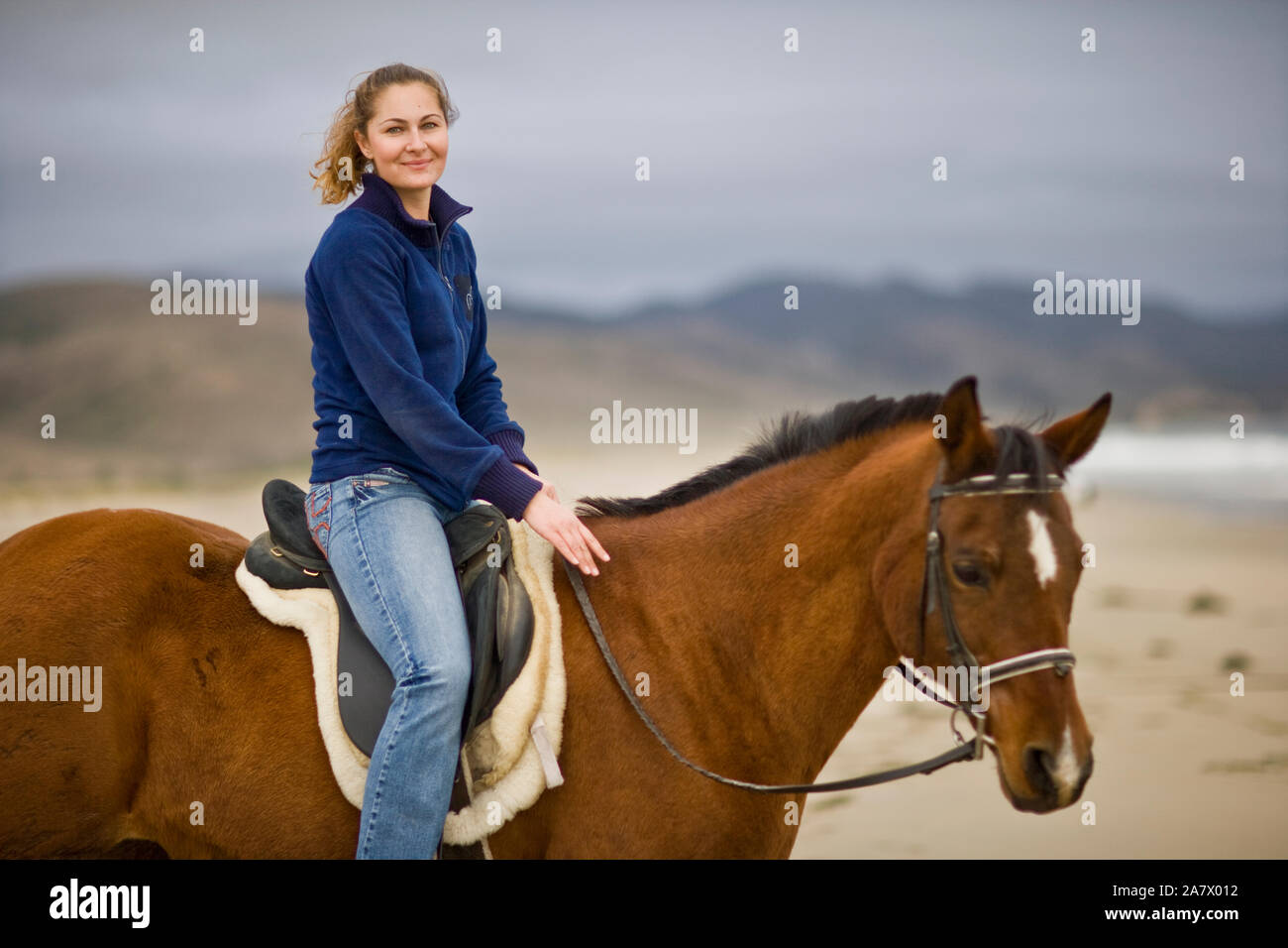 Portrait of a young woman riding a brown horse on the beach Stock Photo ...