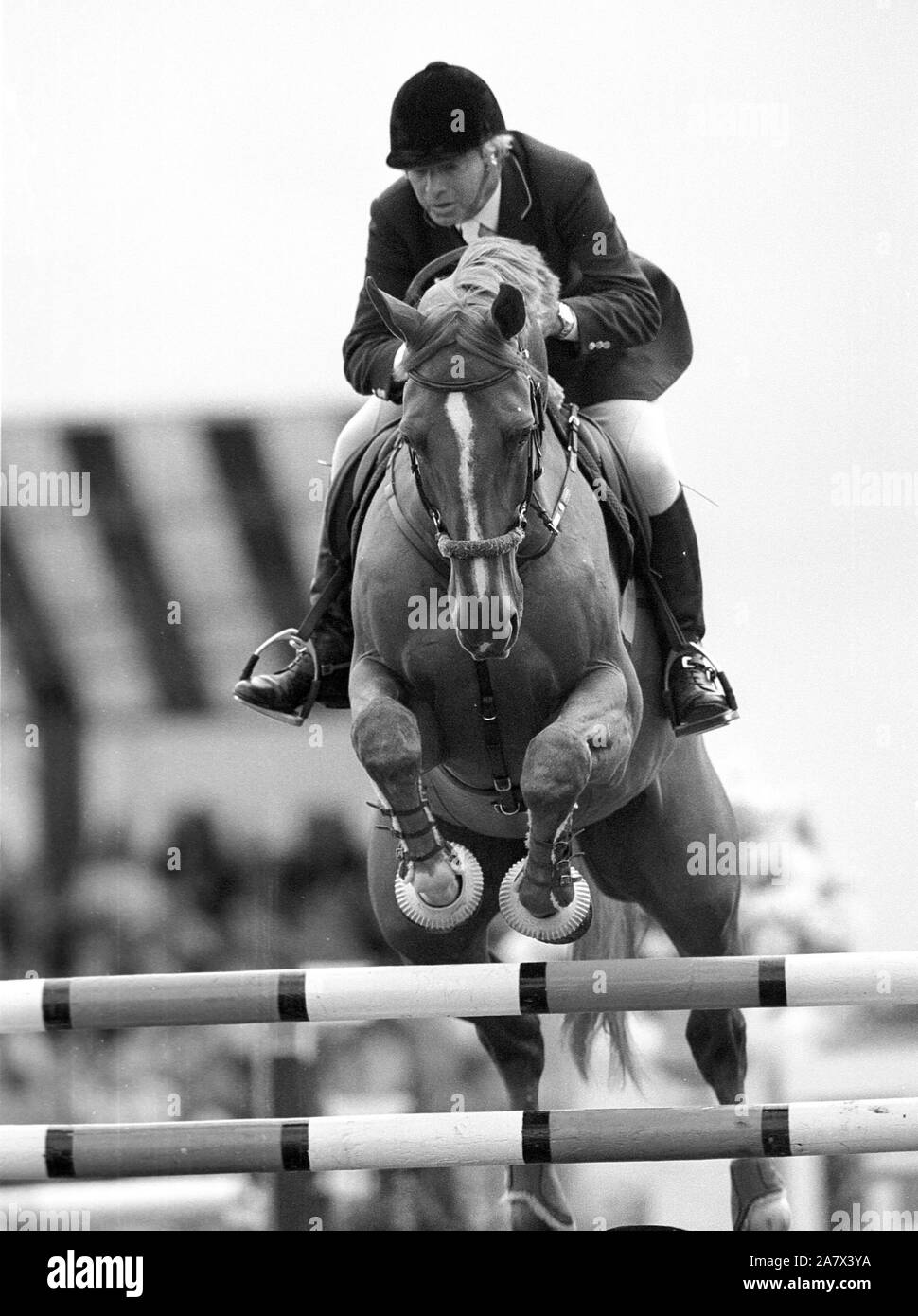 CSI Valkenswaard - Pulsar Grand Prix 1999, Nelson Pessoa (BRA) riding  Gandini Baloubet du Rouet Stock Photo - Alamy