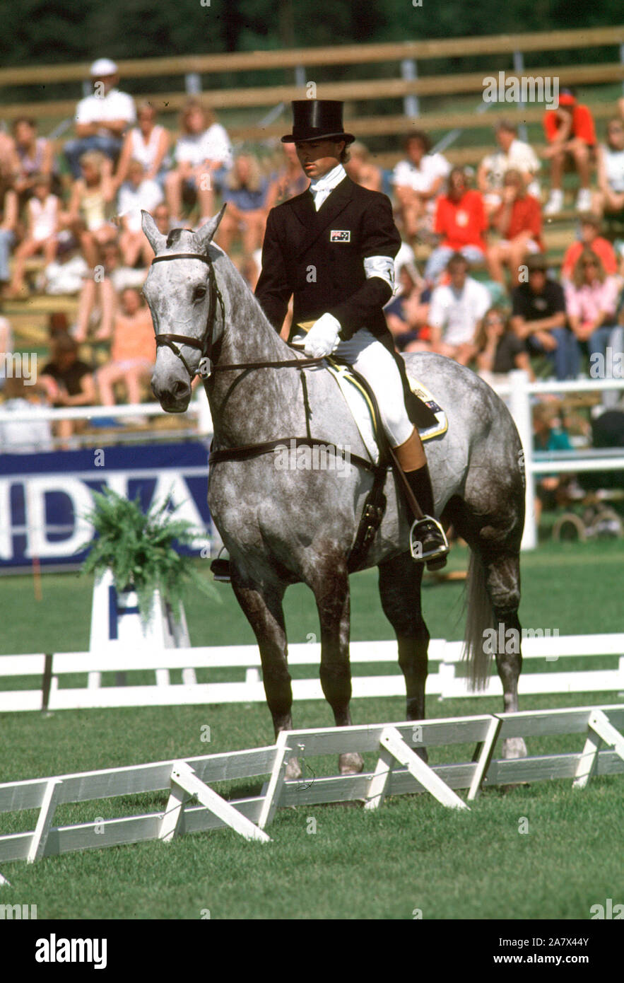 World equestrian games 1990 hires stock photography and images Alamy