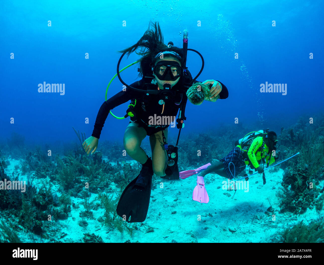 Underwater Image of a young teenage girl holding a sea creature in the Caribbean Sea at the Hamanasi Dive Resort in Belize Stock Photo