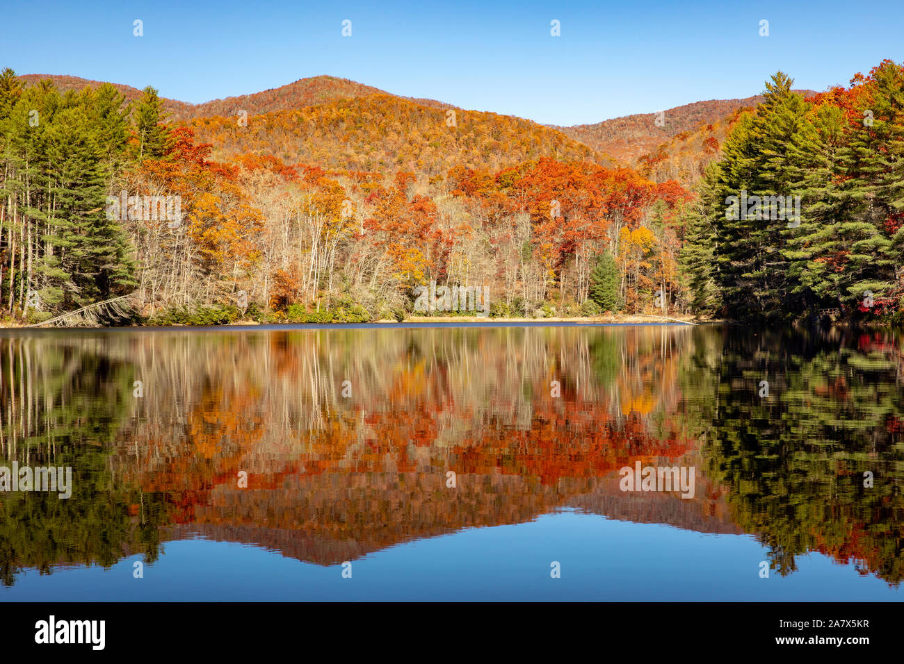 Fall color reflections at Balsam Lake - Roy Taylor Forest in the Nantahala National Forest, Canada, North Carolina, USA Stock Photo