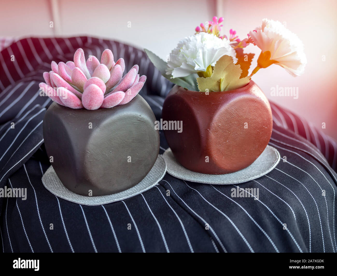 Pink succulent plant and flowers in modern geometric concrete planters on black fabric background. Beautiful painted concrete pots. Stock Photo