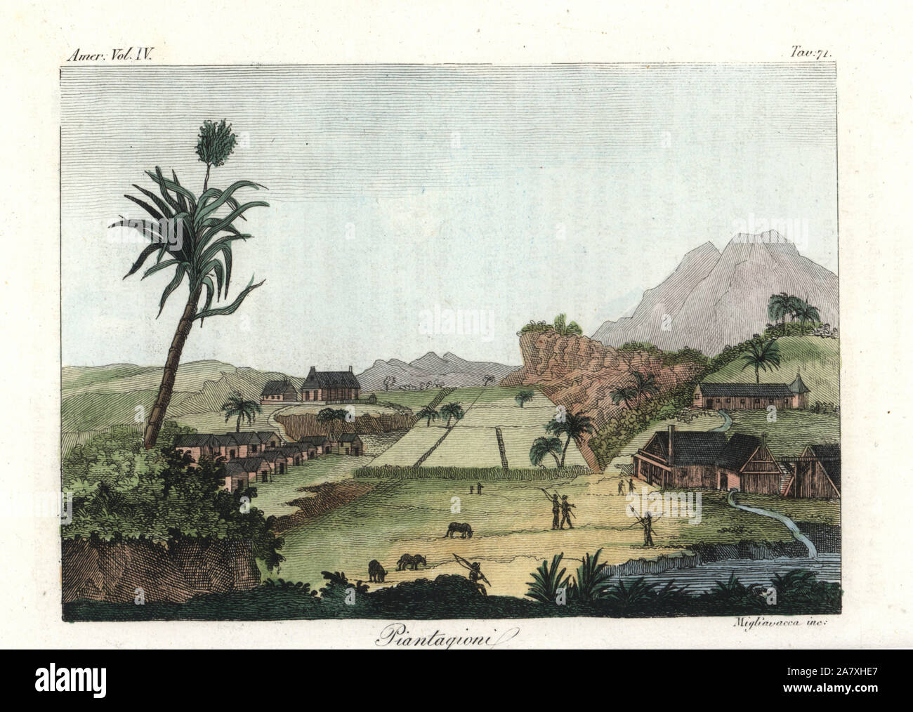 African slaves working on a sugarcane plantation in the West Indies. Handcoloured copperplate engraving by Migliavacca from Giulio Ferrrario's Costumes Antique and Modern of All Peoples (Il Costume Antico e Moderno di Tutti i Popoli), Florence, 1842. Stock Photo