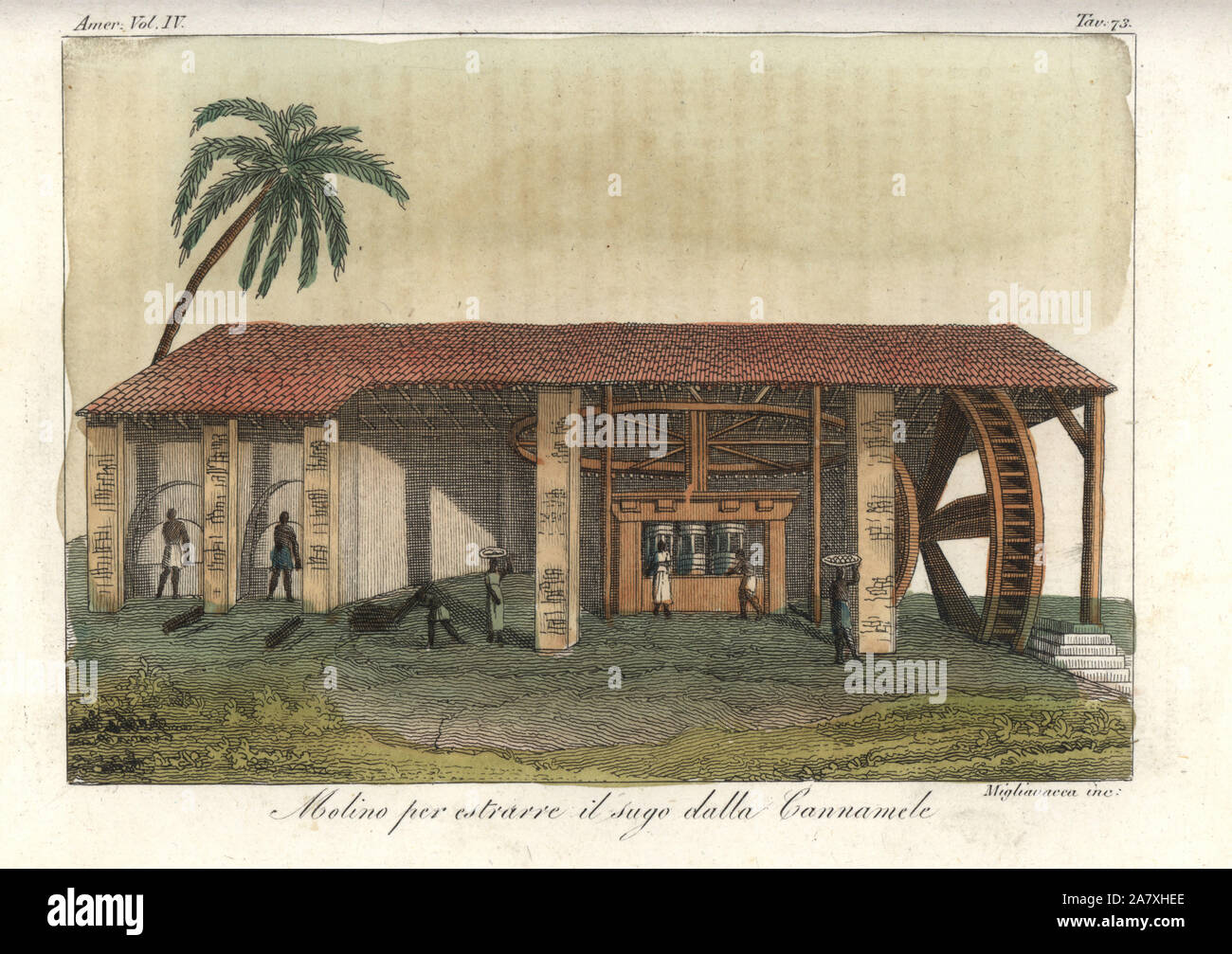 African slaves extracting sugar from sugarcane in a watermill on a plantation in the West Indies. The watermill drives a large wooden wheel turning three metal-clad cylinders. Handcoloured copperplate engraving by Migliavacca from Giulio Ferrrario's Costumes Antique and Modern of All Peoples (Il Costume Antico e Moderno di Tutti i Popoli), Florence, 1842. Stock Photo