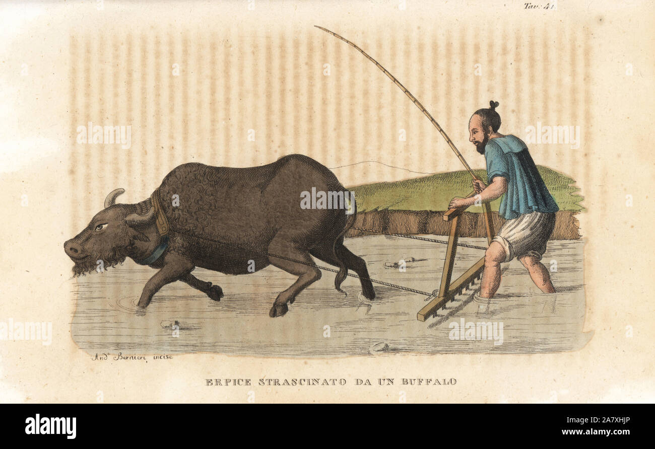 Chinese peasant plow engraving hires stock photography and images Alamy