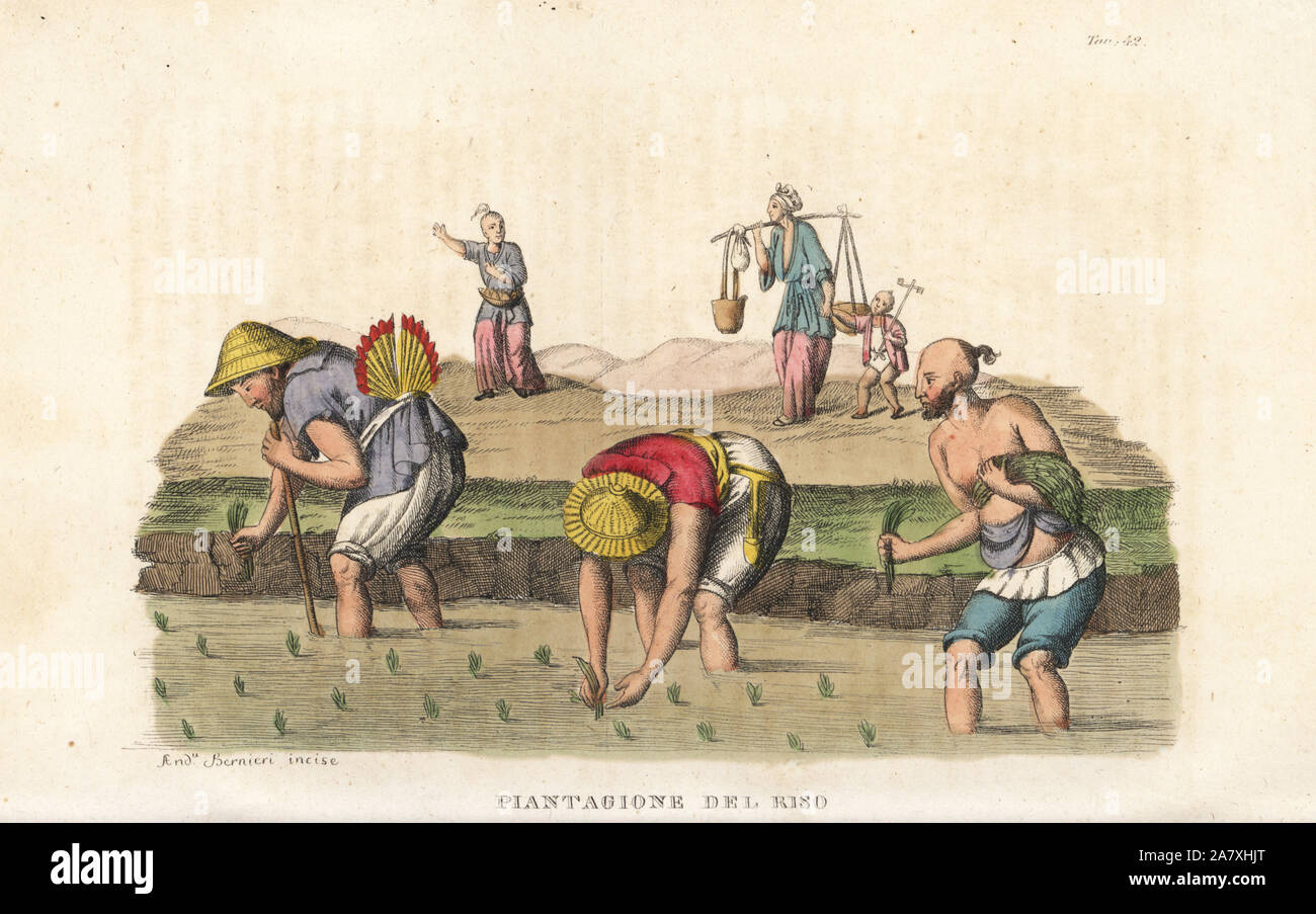 Chinese peasants planting rice in a paddy field. Handcoloured copperplate engraving by Andrea Bernieri from Giulio Ferrario's Ancient and Modern Costumes of all the Peoples of the World, Florence, Italy, 1843. Stock Photo