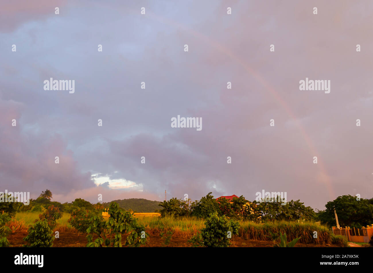Rainy Evening Colors In Jamaica Stock Photo Alamy