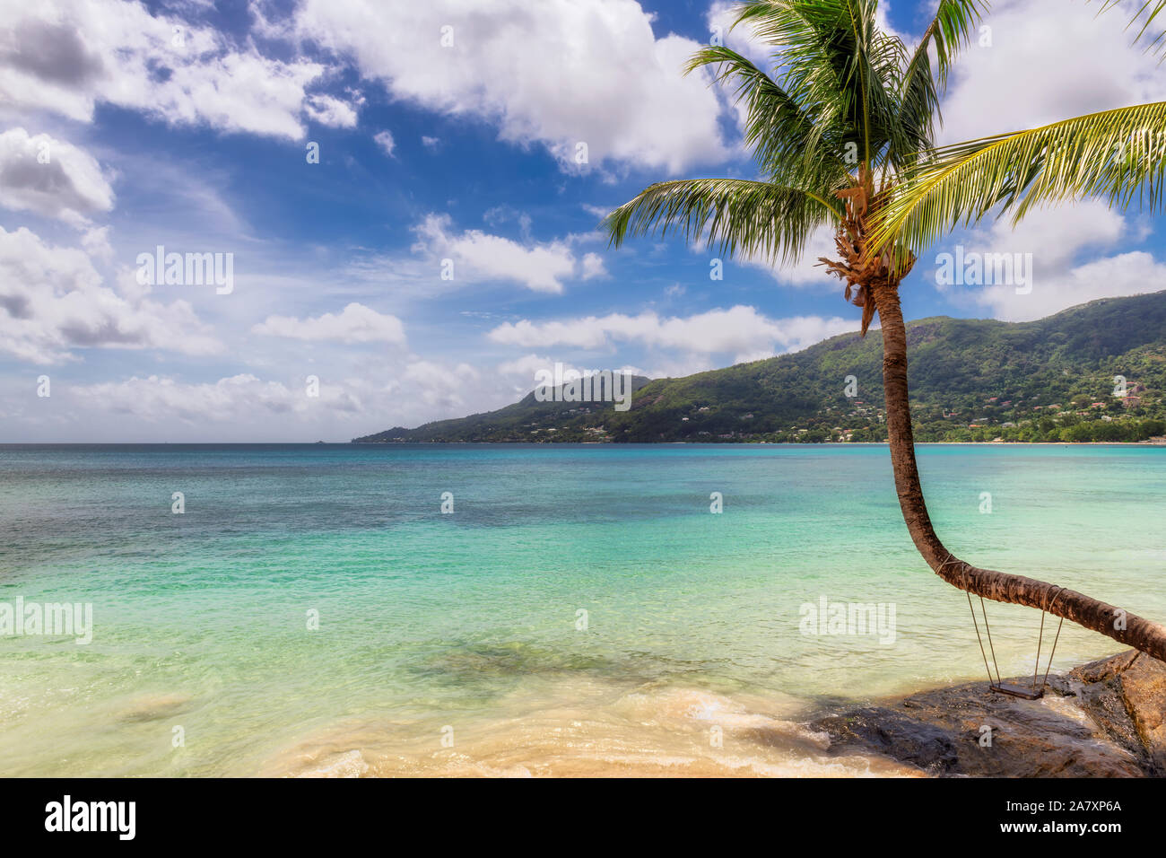 Beach blue sky sea palm trees sunny hi-res stock photography and images ...