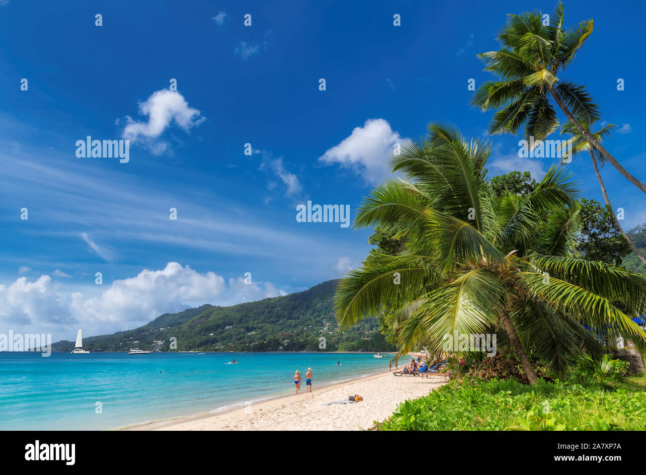 Famous Beau Vallon beach with coconut palm tree on Mahe island, Seychelles. Stock Photo