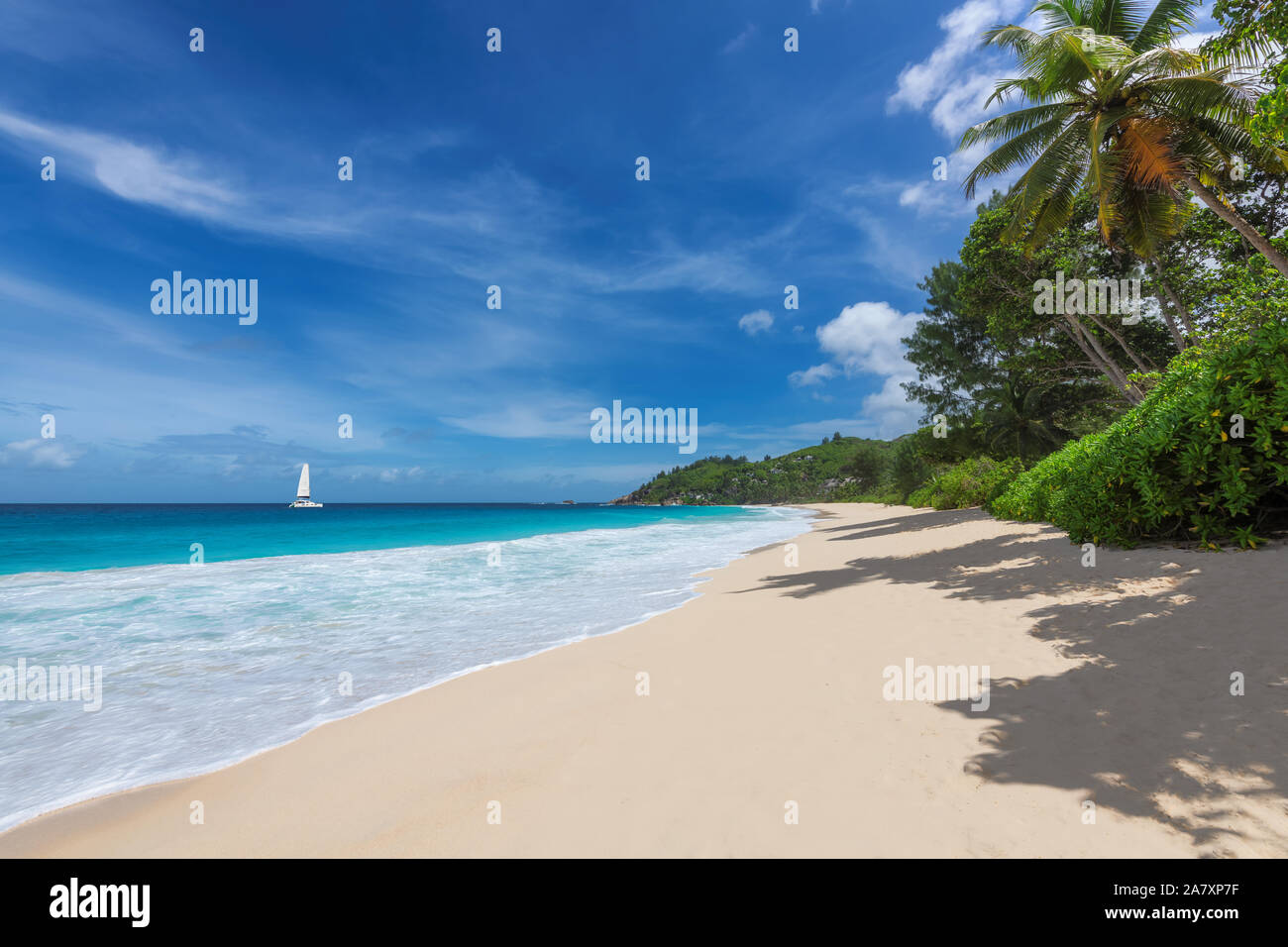 White sand beach with coconut palm trees on ocean beach Stock Photo