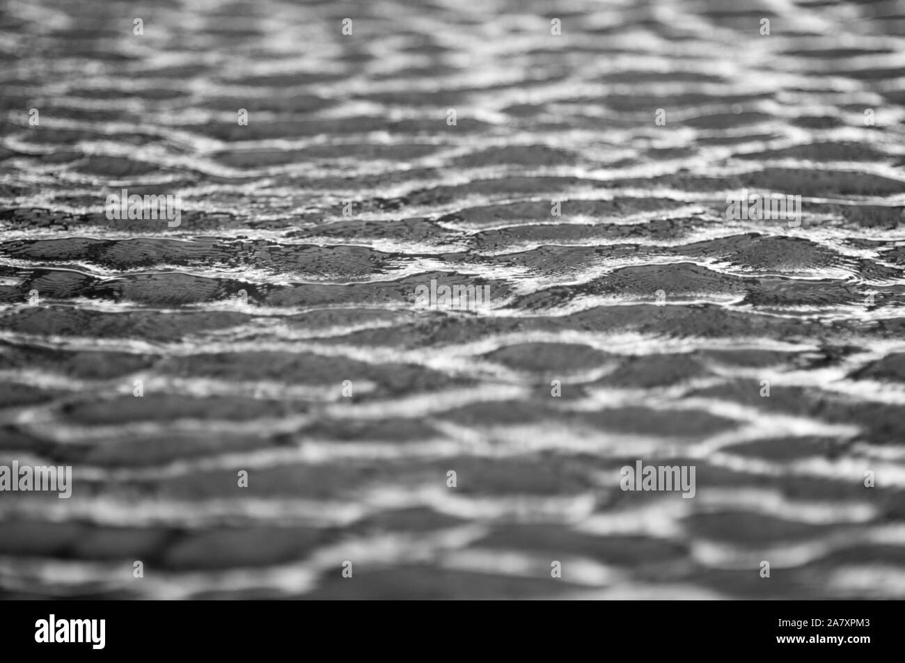 Water ripple close up in daylight shallow depth of field in strong wind Stock Photo