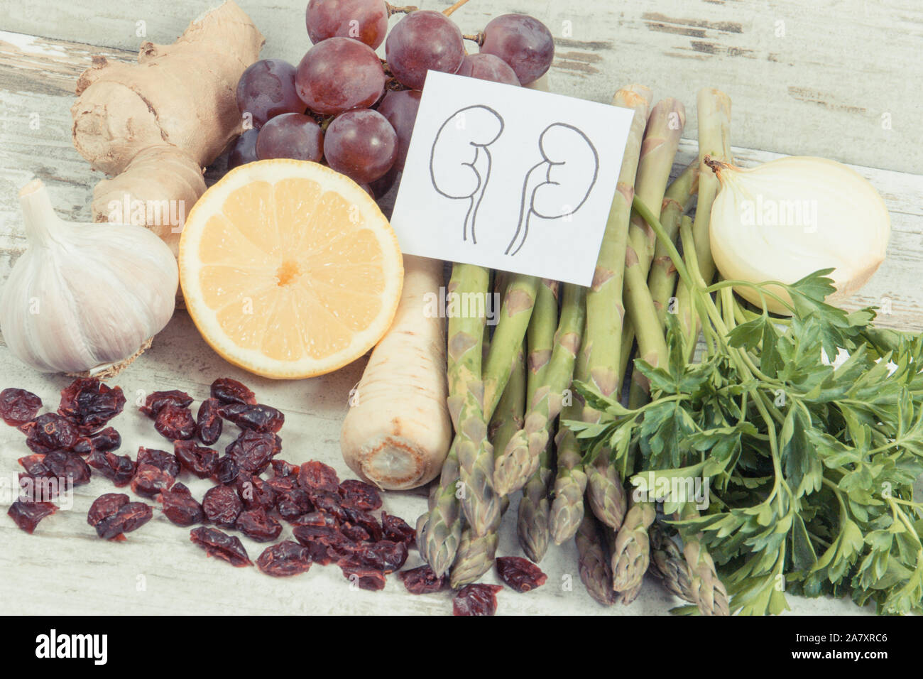 Drawing of kidneys and healthy eating as source natural vitamins and