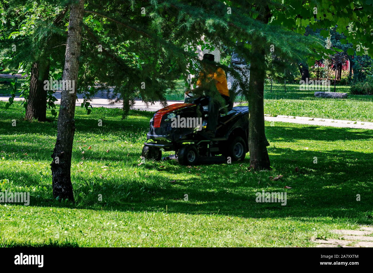 An experienced worker mows grass with a lawn tractor in the garden, Sofia, Bulgaria Stock Photo