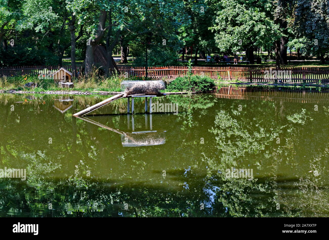 A small house built into the lake and nesting place for ducks in the city garden, Sofia, Bulgaria Stock Photo