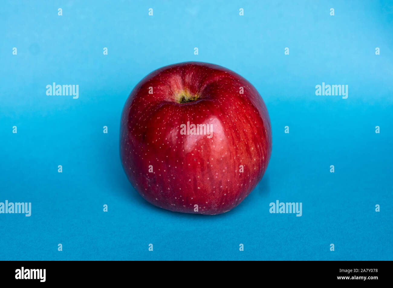 Red appel in kichen on blue background Stock Photo