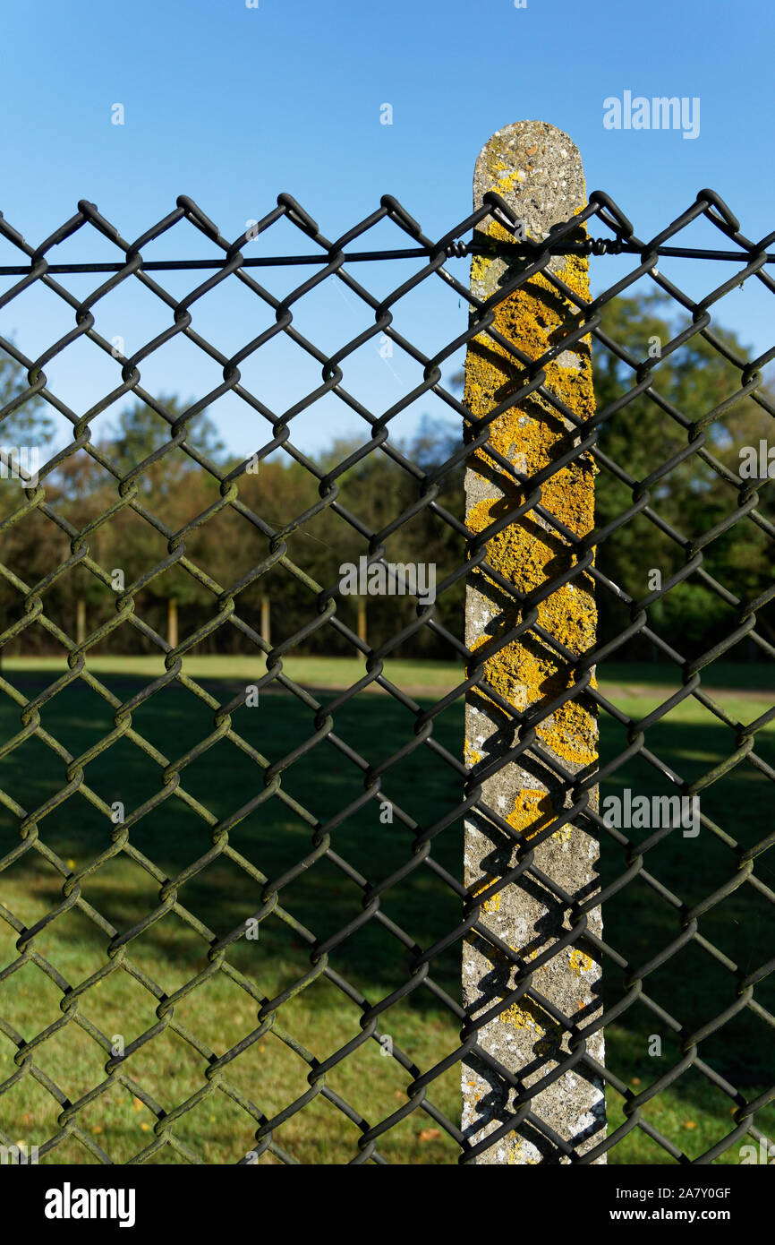 Chain link fence attached to a concrete post with green lichen on it