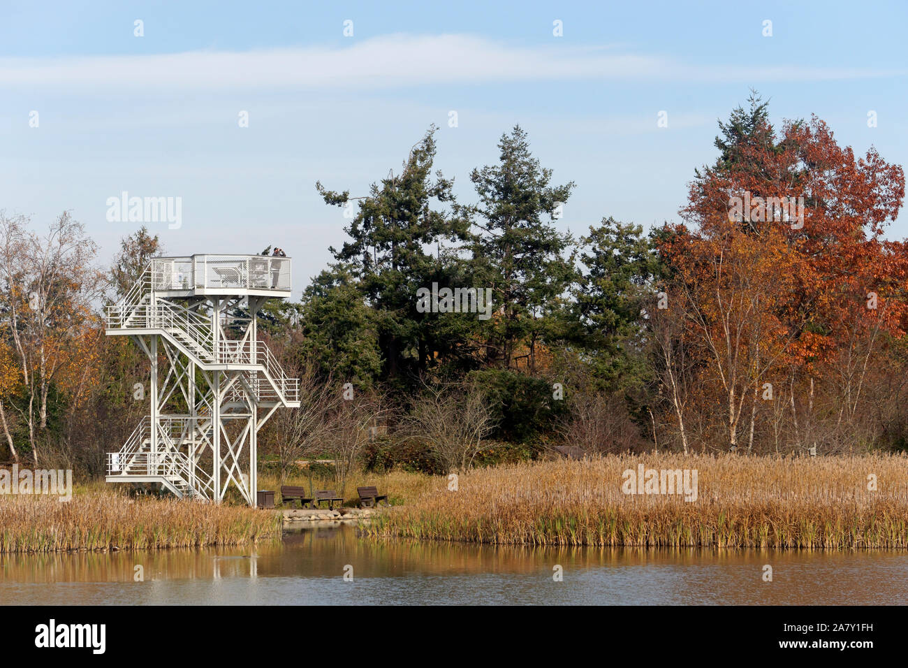 Two-storey metal observation tower at the George C. Reifel Migratory Bird Sanctuary, Delta, BC, Canada Stock Photo