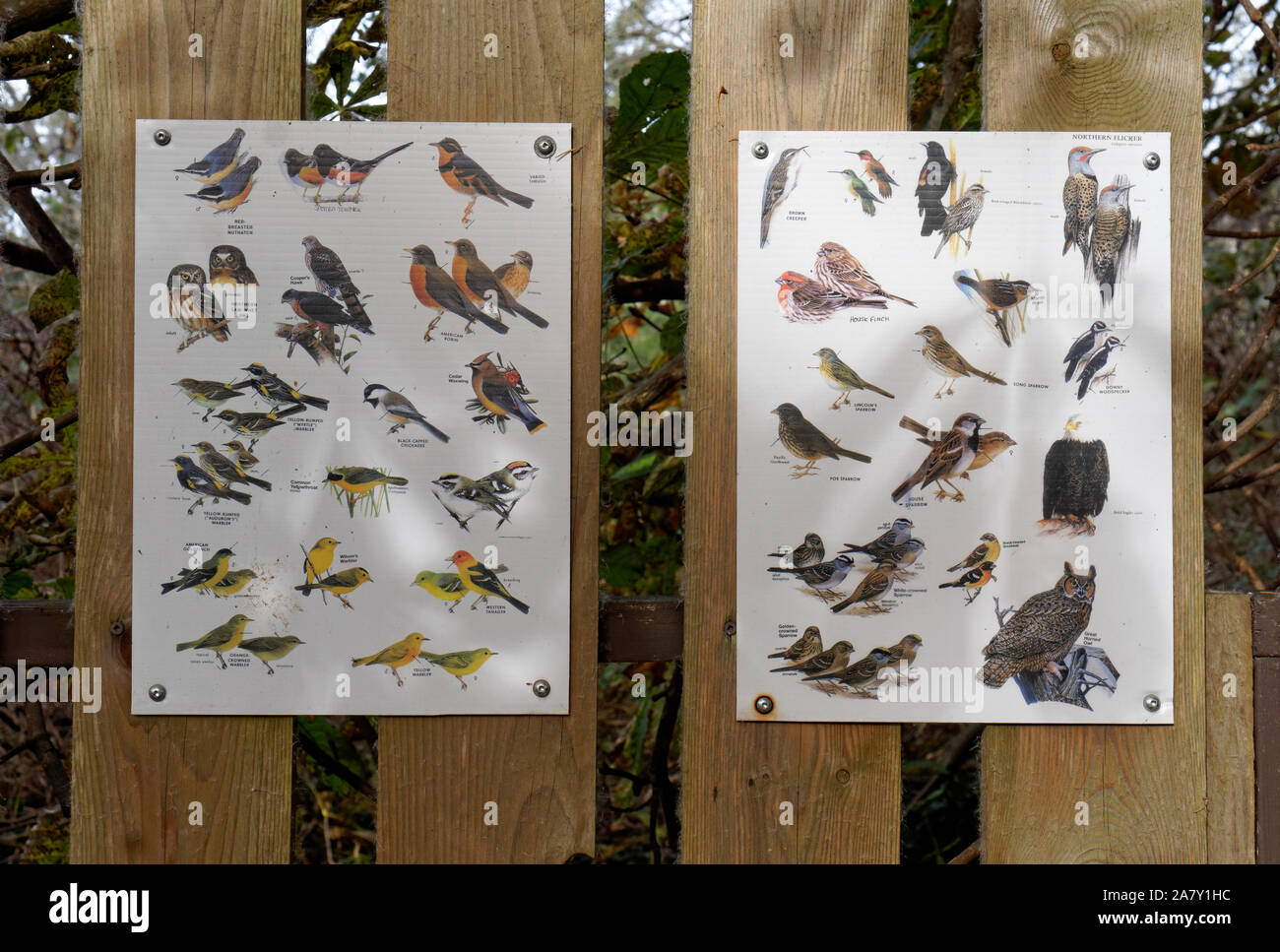 Interpretive bird identification posters on a wooden fence at the George C. Reifel Migratory Bird Sanctuary, Delta, BC, Canada Stock Photo