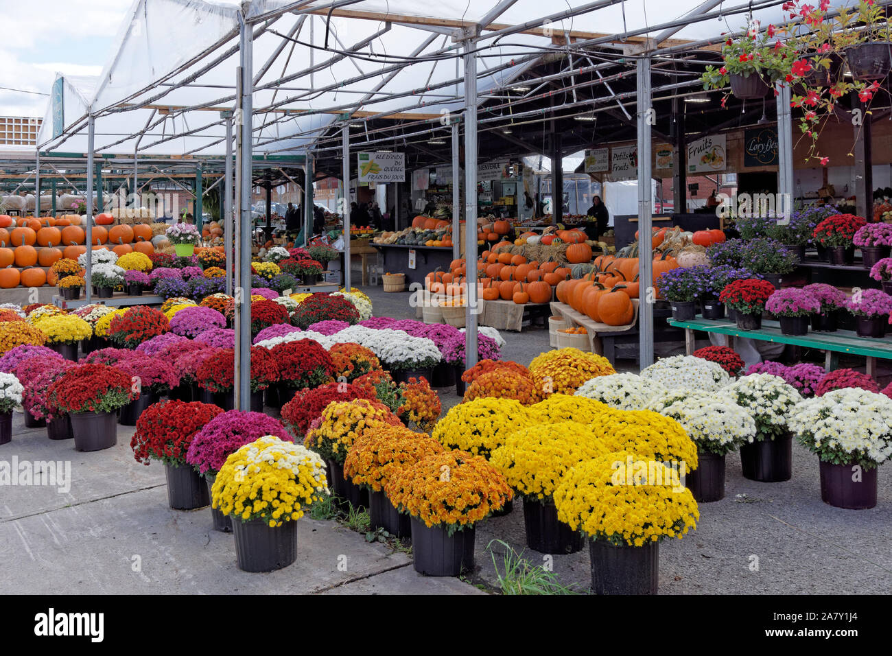 Marche de lachine flowers hires stock photography and images Alamy