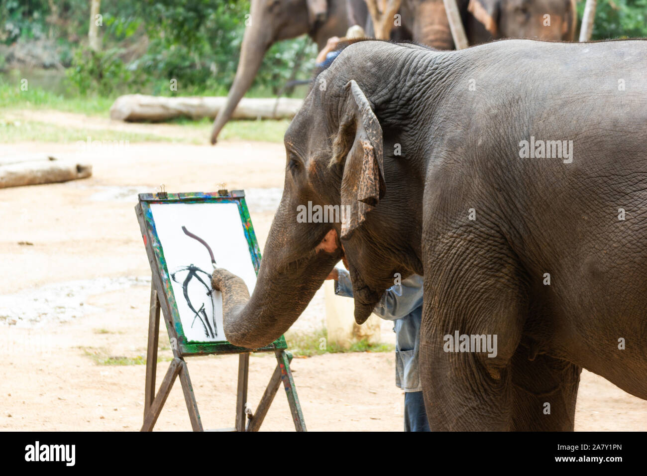 LAMPANG, THAILAND - Oct 13, 2019:-Elephant painting in picture elephant, At The Thai Elephant Conservation Center (TECC), Mahouts show how to train el Stock Photo