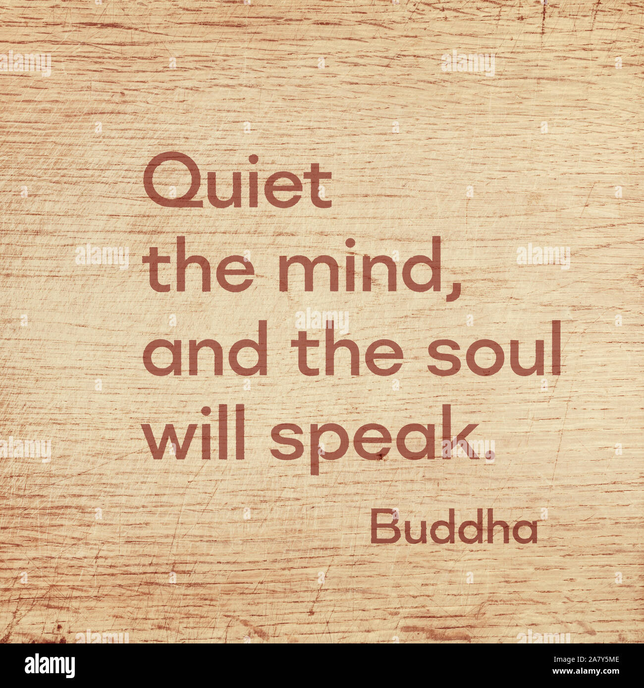 quiet mind quotes