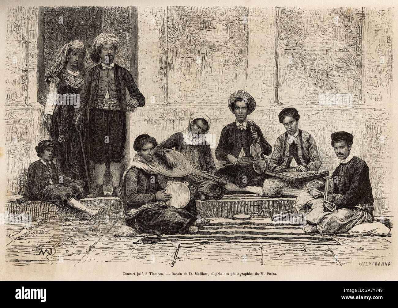 type de race algeriennes Emmanuel Philippoteaux 1830 1840
